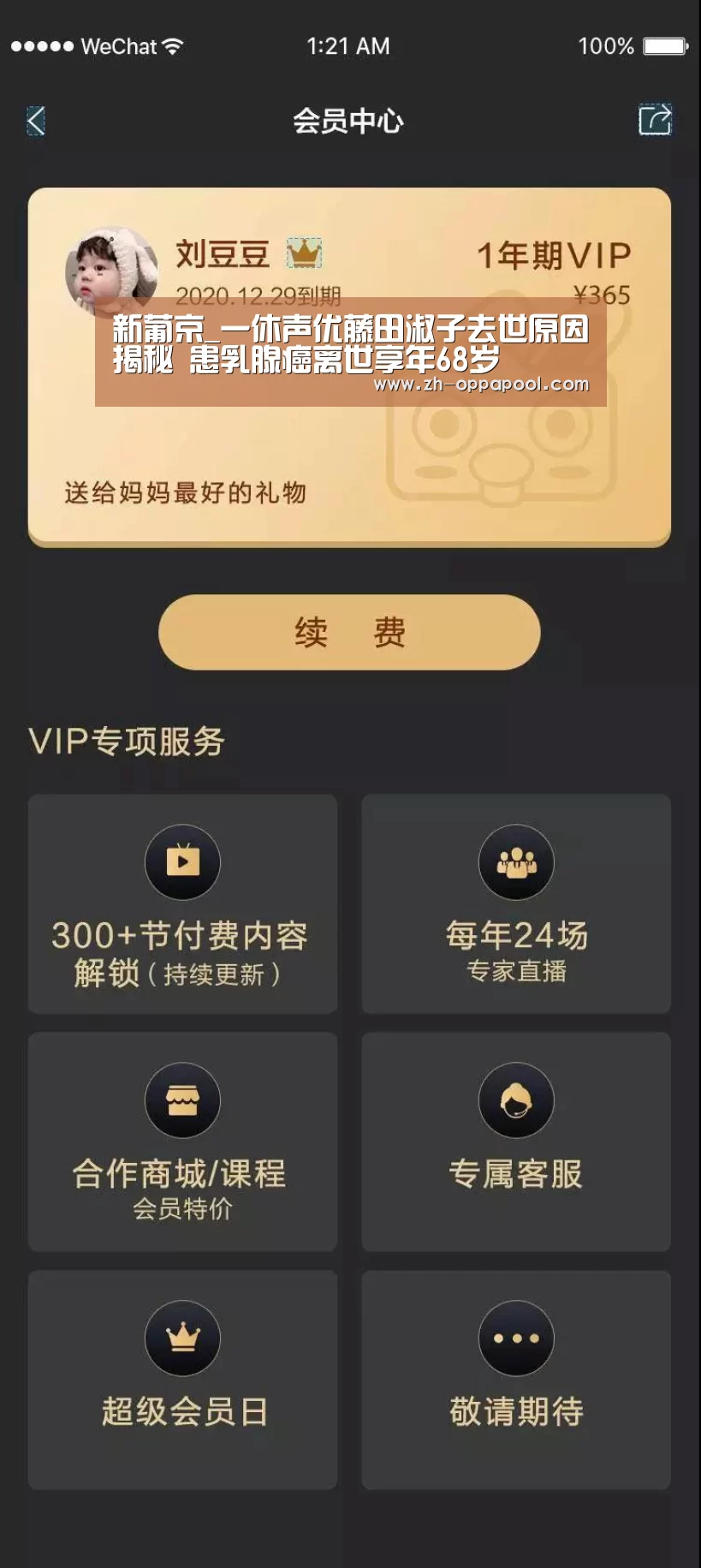 新葡京