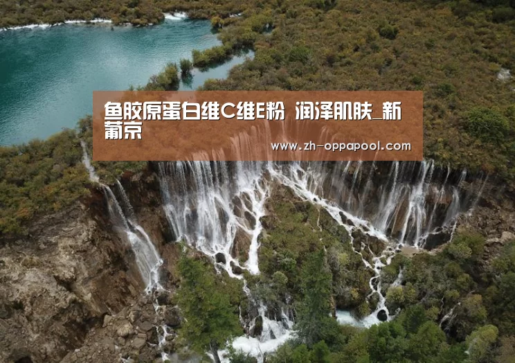 新葡京
