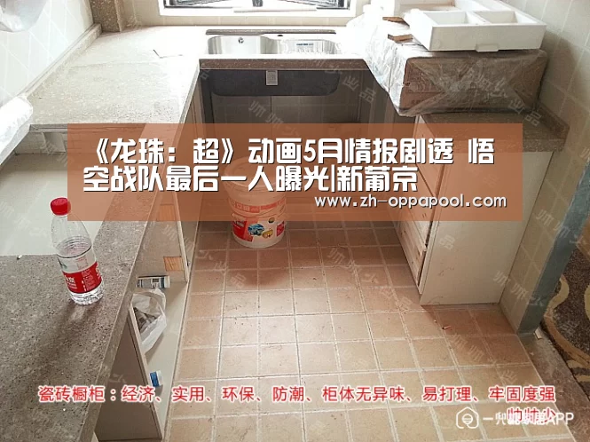 《龙珠:超》动画5月情报剧透 悟空战队最后一人曝光|新葡京(图1) 新葡京