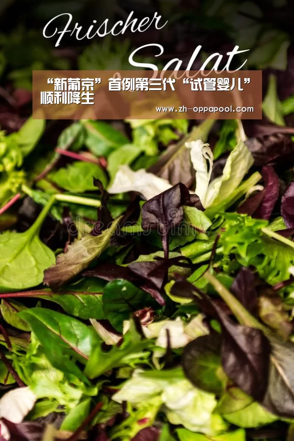 新葡京
