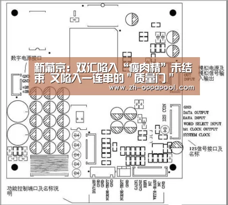 新葡京:双汇陷入“瘦肉精”未结束 又陷入一连串的"质量门"(图2) 新葡京