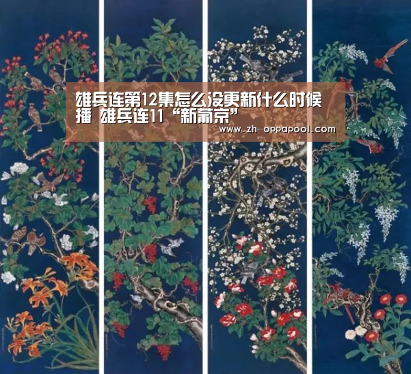雄兵连第12集怎么没更新什么时候播 雄兵连11“新葡京”(图3) 新葡京