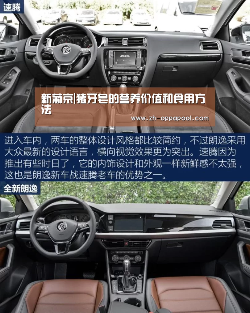 新葡京|猪牙皂的营养价值和食用方法(图1) 新葡京