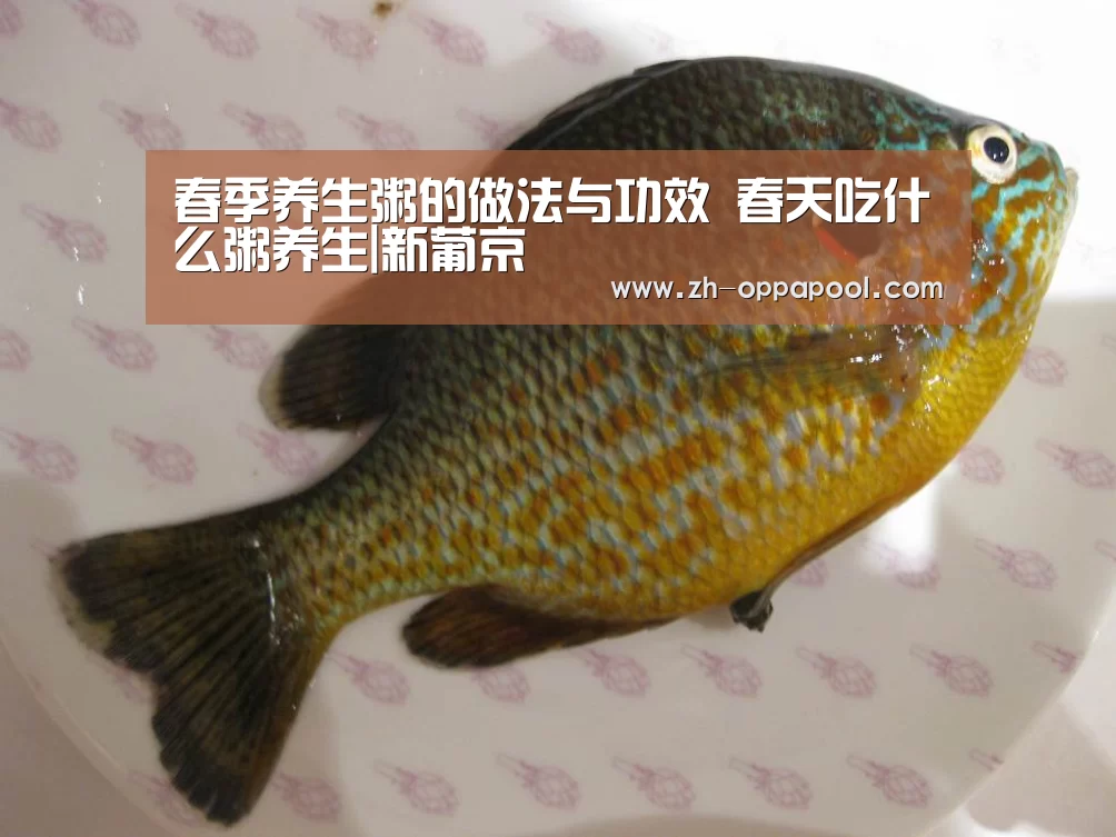 春季养生粥的做法与功效 春天吃什么粥养生|新葡京(图2) 新葡京