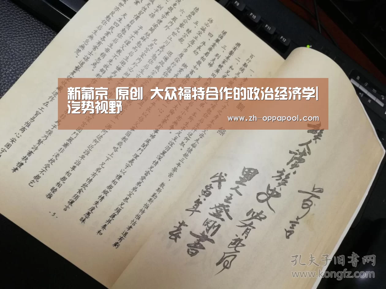 新葡京_原创 大众福特合作的政治经济学|汽势视野(图2) 新葡京